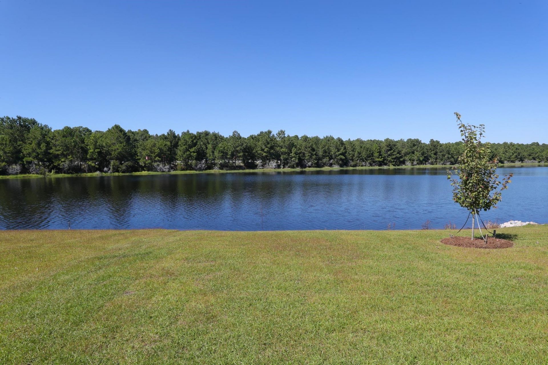 212 Field Dr Photo 47