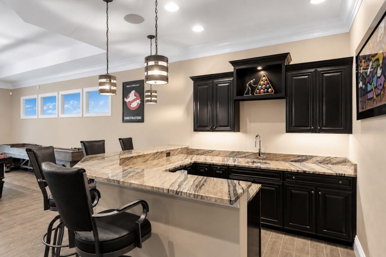 17032 Comunidad De Avila, Lutz, FL 33548 Photo