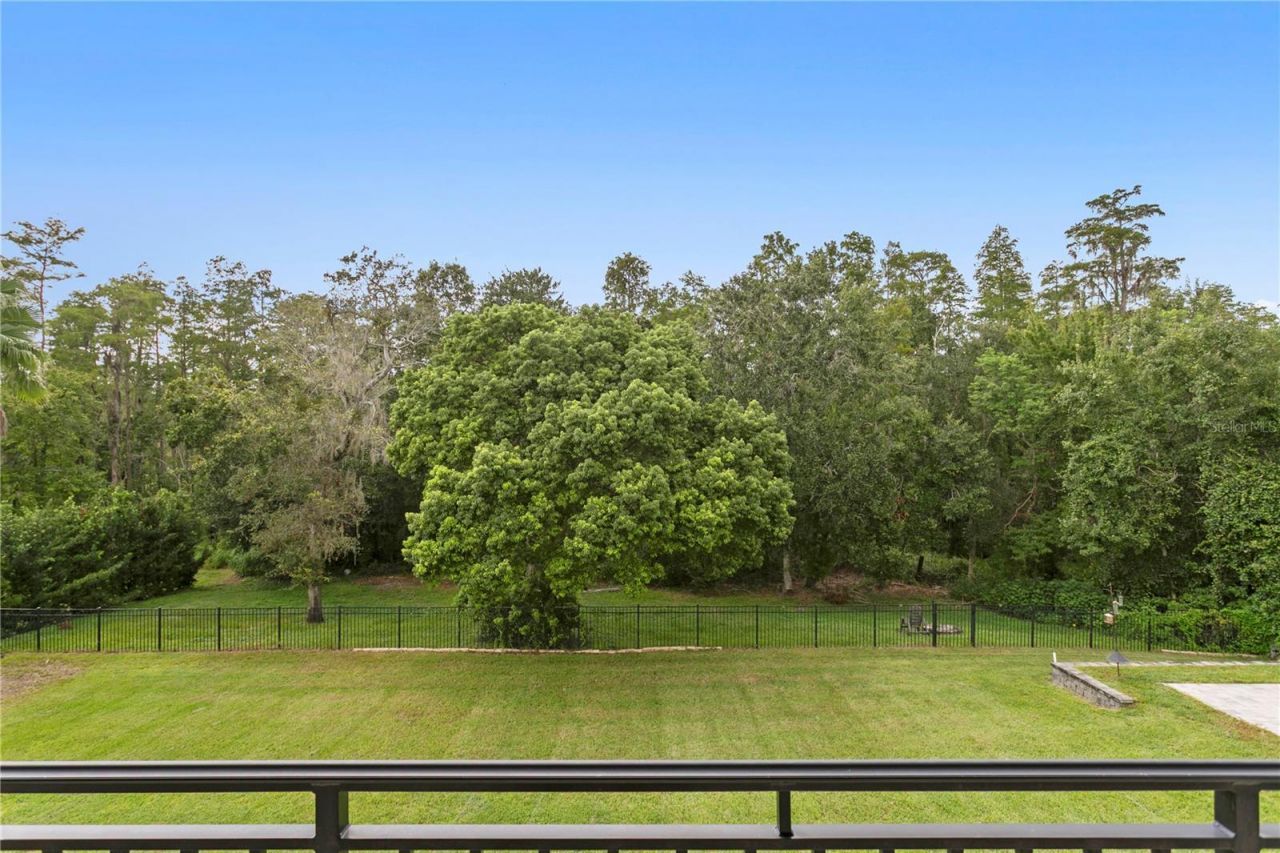 17032 Comunidad De Avila, Lutz, FL 33548 Photo