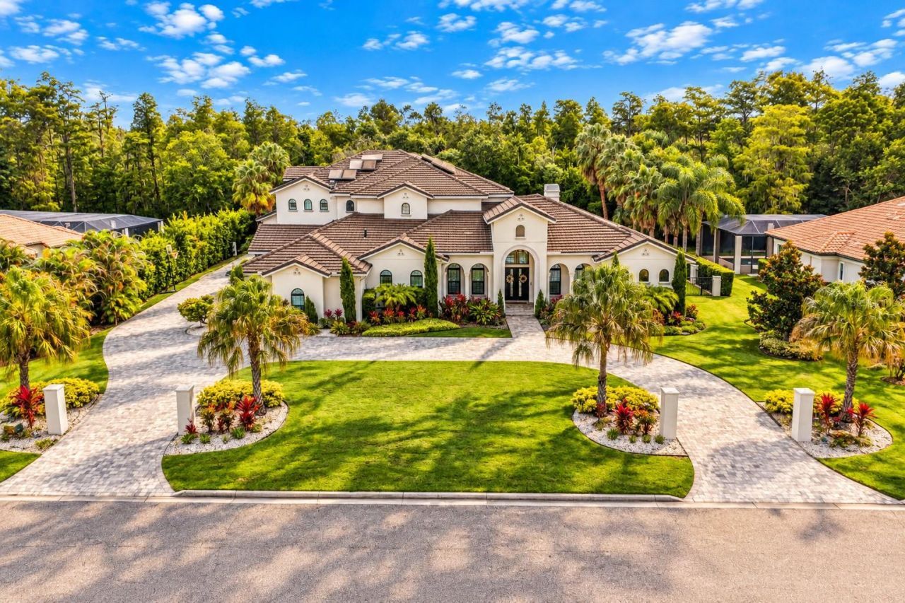 17032 Comunidad De Avila, Lutz, FL 33548 Photo