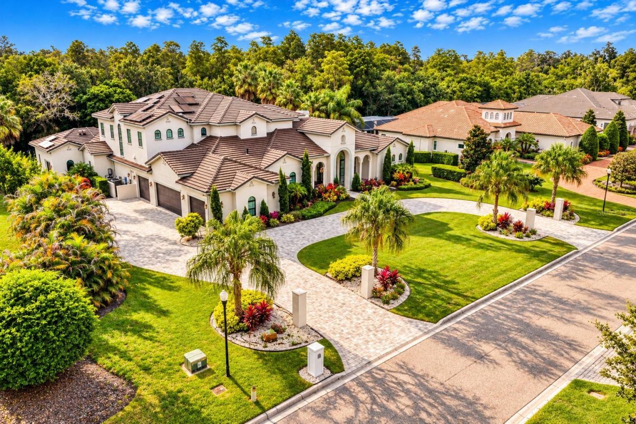 17032 Comunidad De Avila, Lutz, FL 33548 Photo