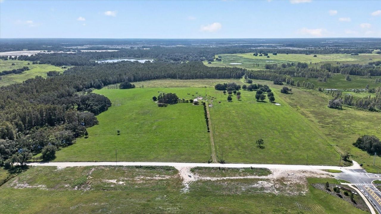 33610 Kiefer Road , Wesley Chapel, FL 33545 Photo