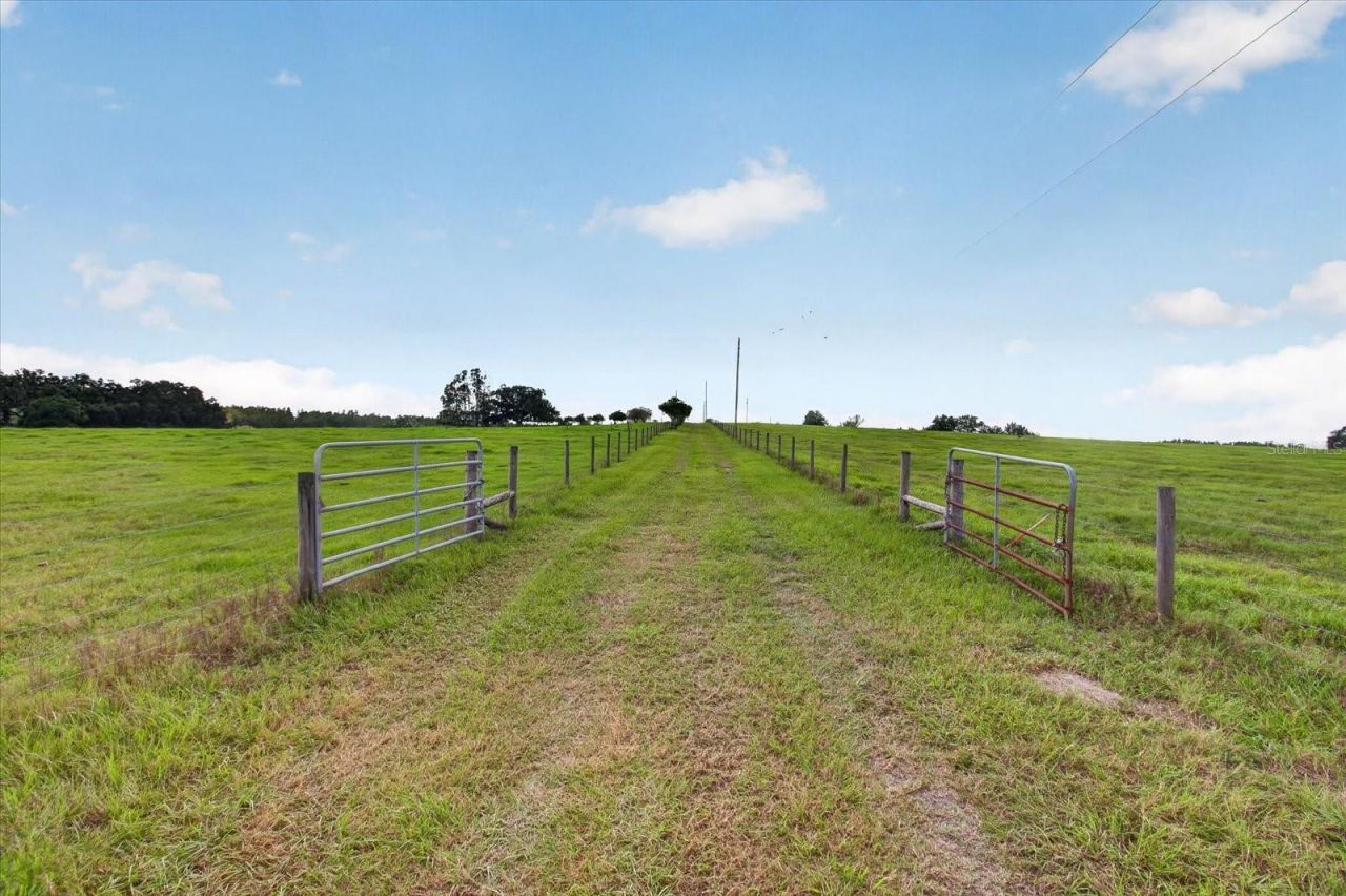 33610 Kiefer Road , Wesley Chapel, FL 33545 Photo