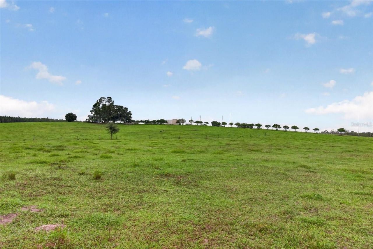 33610 Kiefer Road , Wesley Chapel, FL 33545 Photo