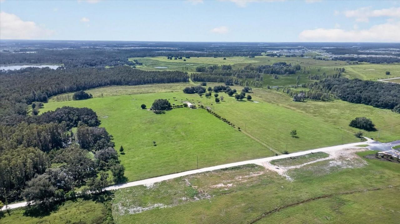33610 Kiefer Road , Wesley Chapel, FL 33545 Photo