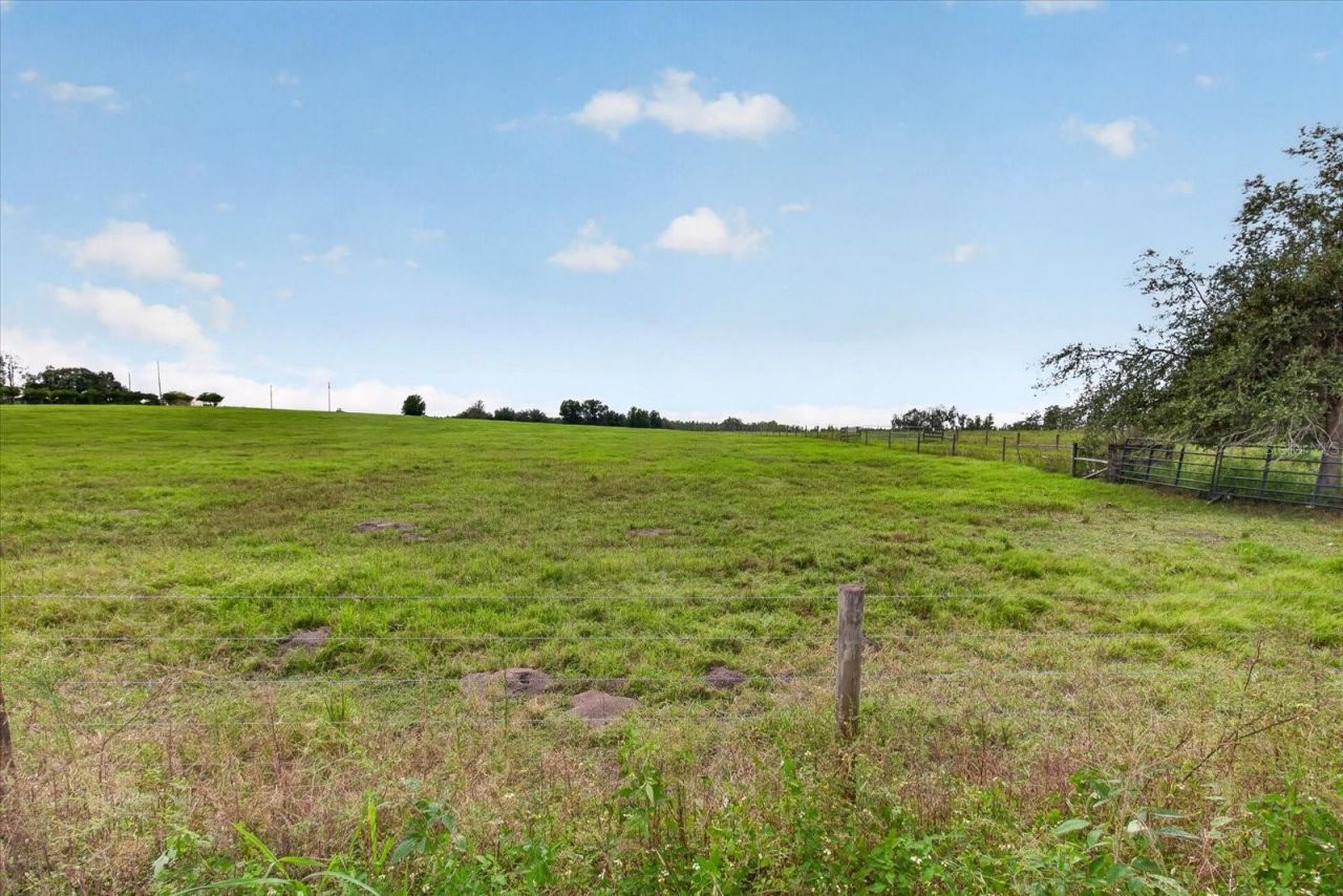 33610 Kiefer Road , Wesley Chapel, FL 33545 Photo
