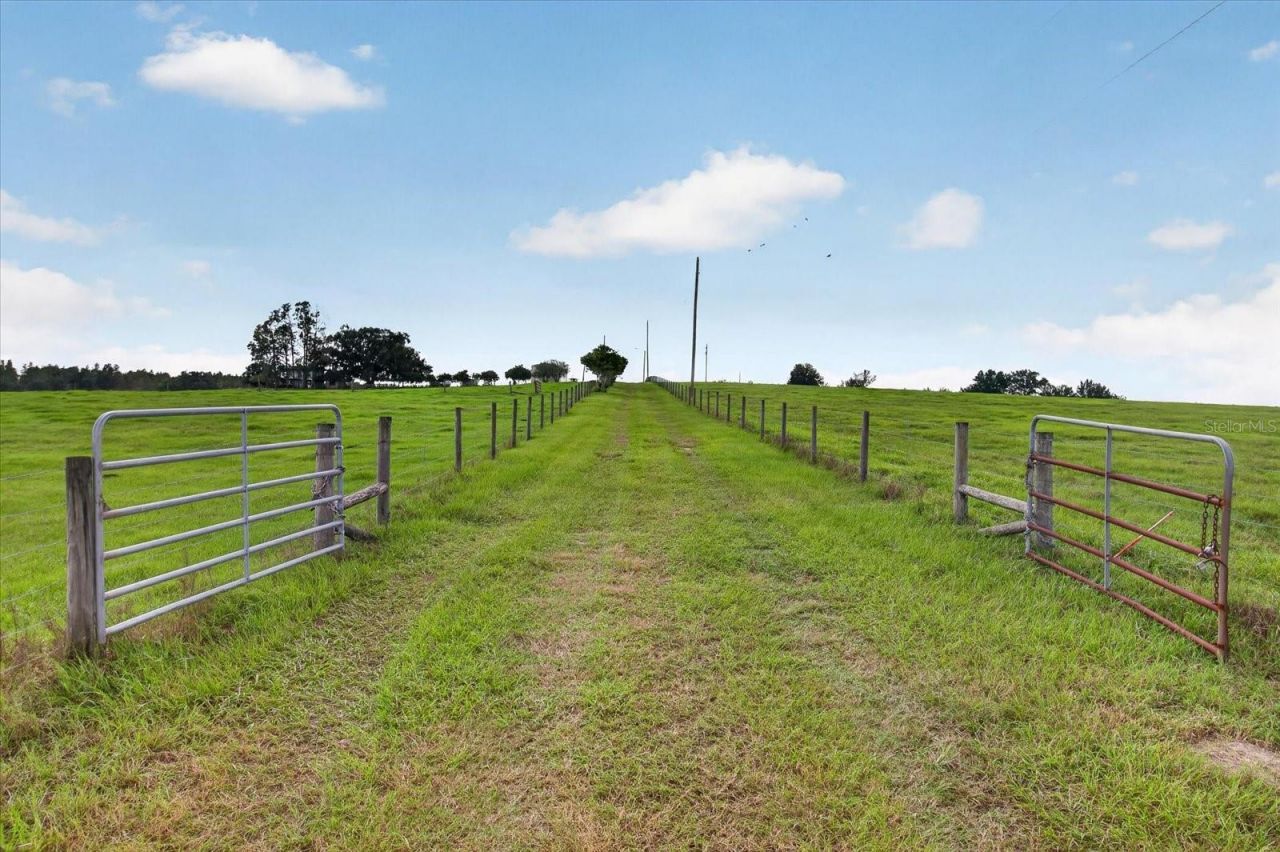 33610 Kiefer Road , Wesley Chapel, FL 33545 Photo