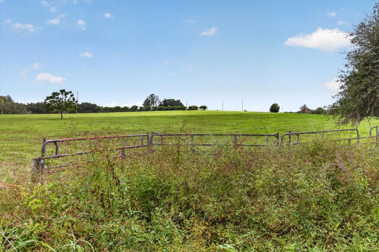 33610 Kiefer Road , Wesley Chapel, FL 33545 Photo