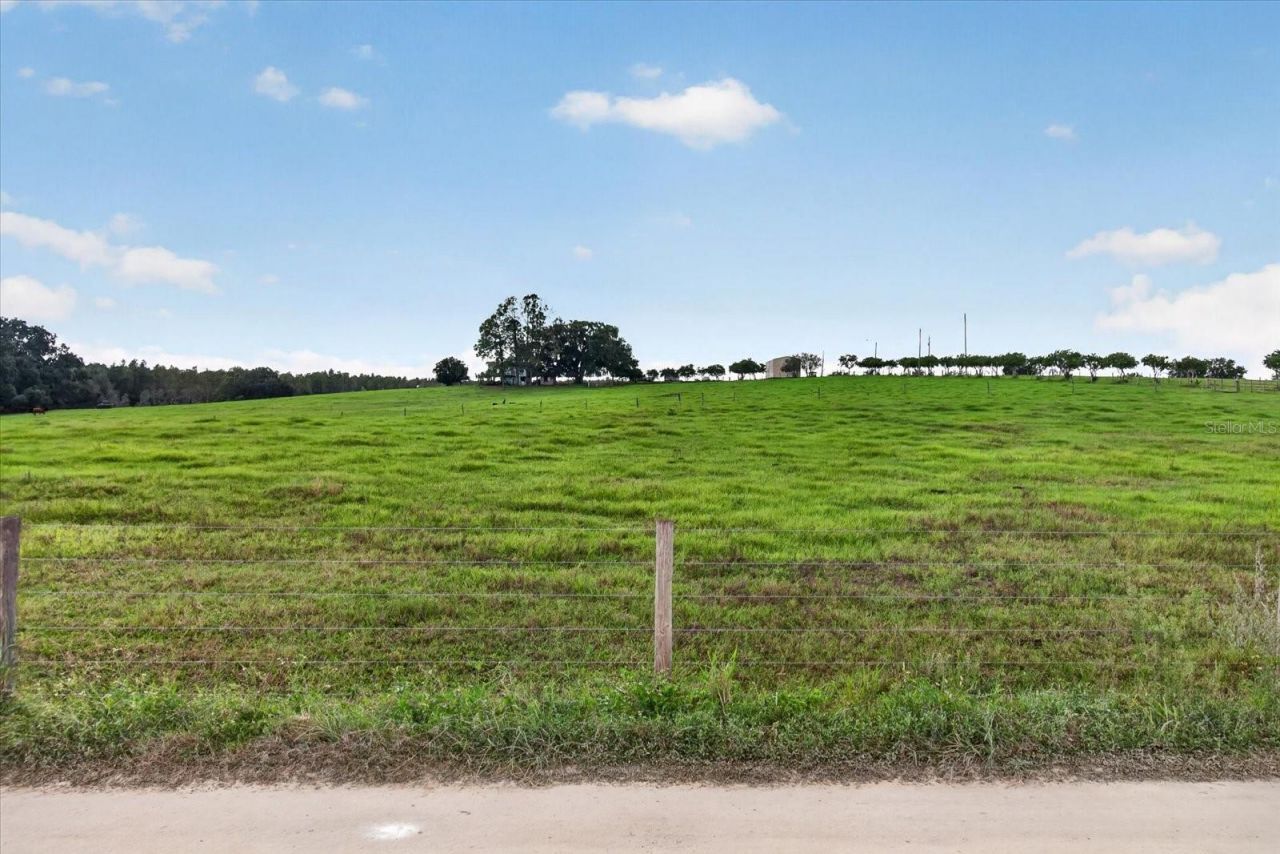33610 Kiefer Road , Wesley Chapel, FL 33545 Photo