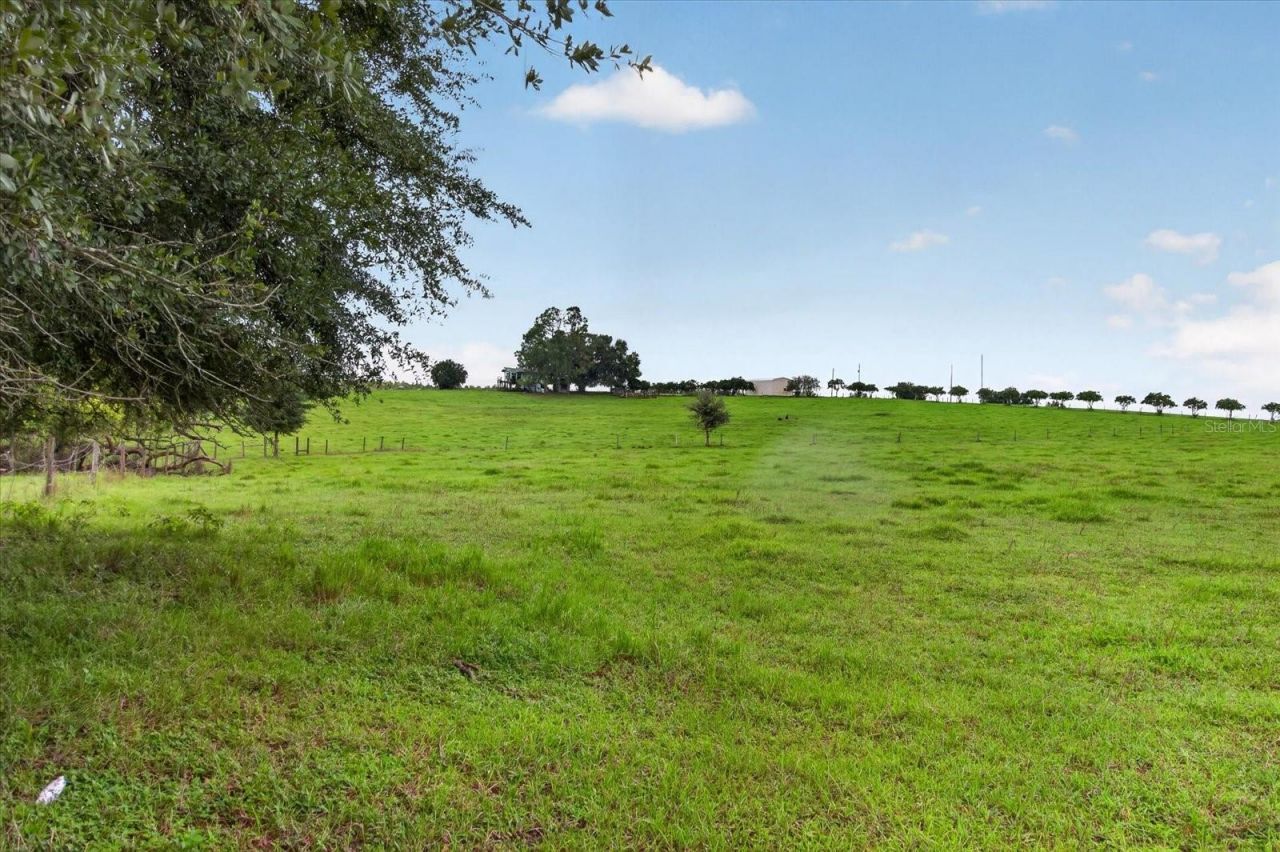 33610 Kiefer Road , Wesley Chapel, FL 33545 Photo
