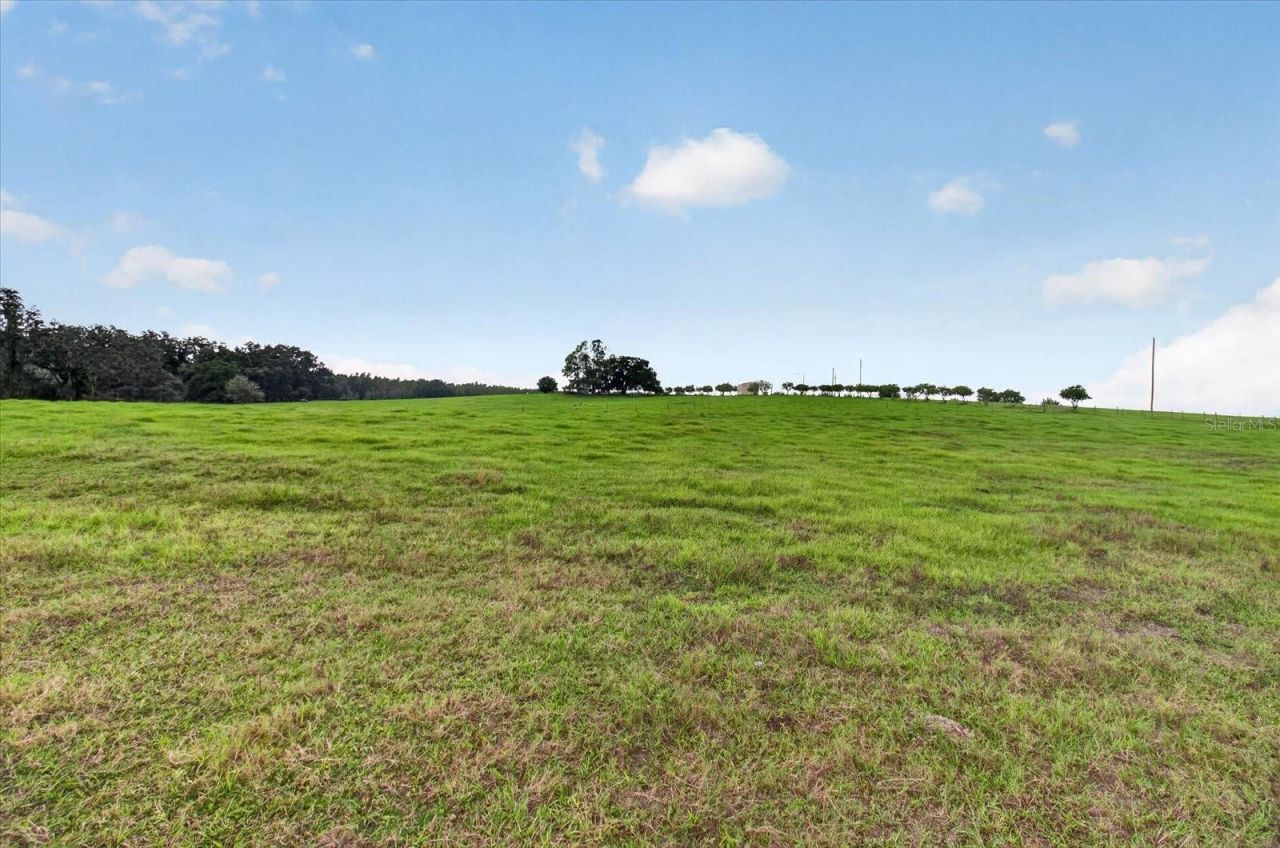 33610 Kiefer Road , Wesley Chapel, FL 33545 Photo