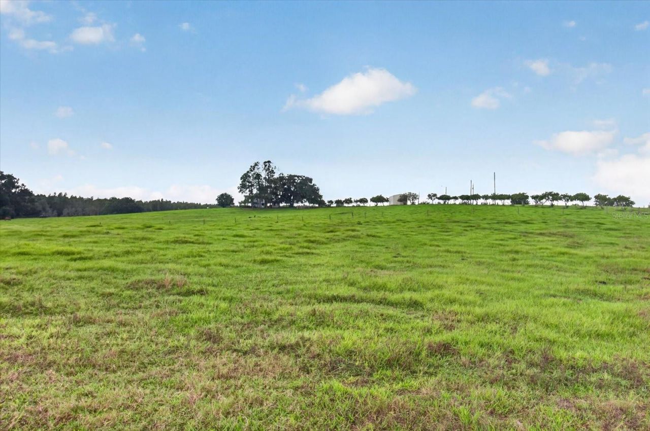 33610 Kiefer Road , Wesley Chapel, FL 33545 Photo