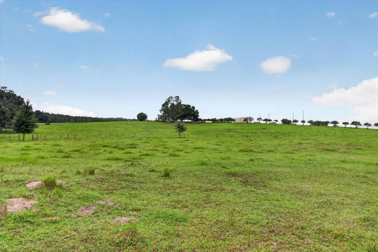 33610 Kiefer Road , Wesley Chapel, FL 33545 Photo