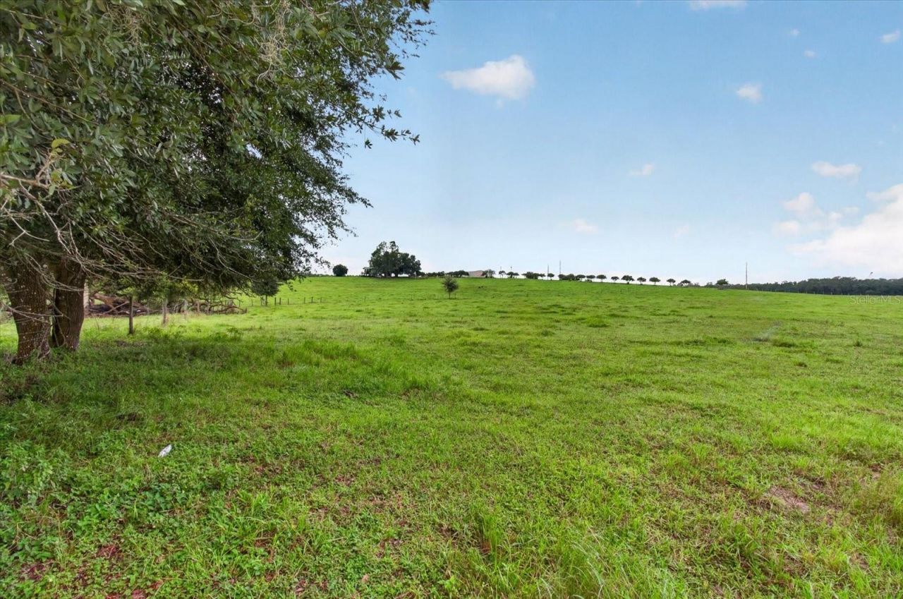33610 Kiefer Road , Wesley Chapel, FL 33545 Photo