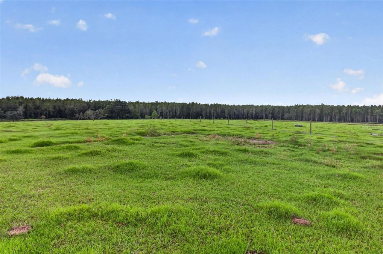33610 Kiefer Road , Wesley Chapel, FL 33545 Photo