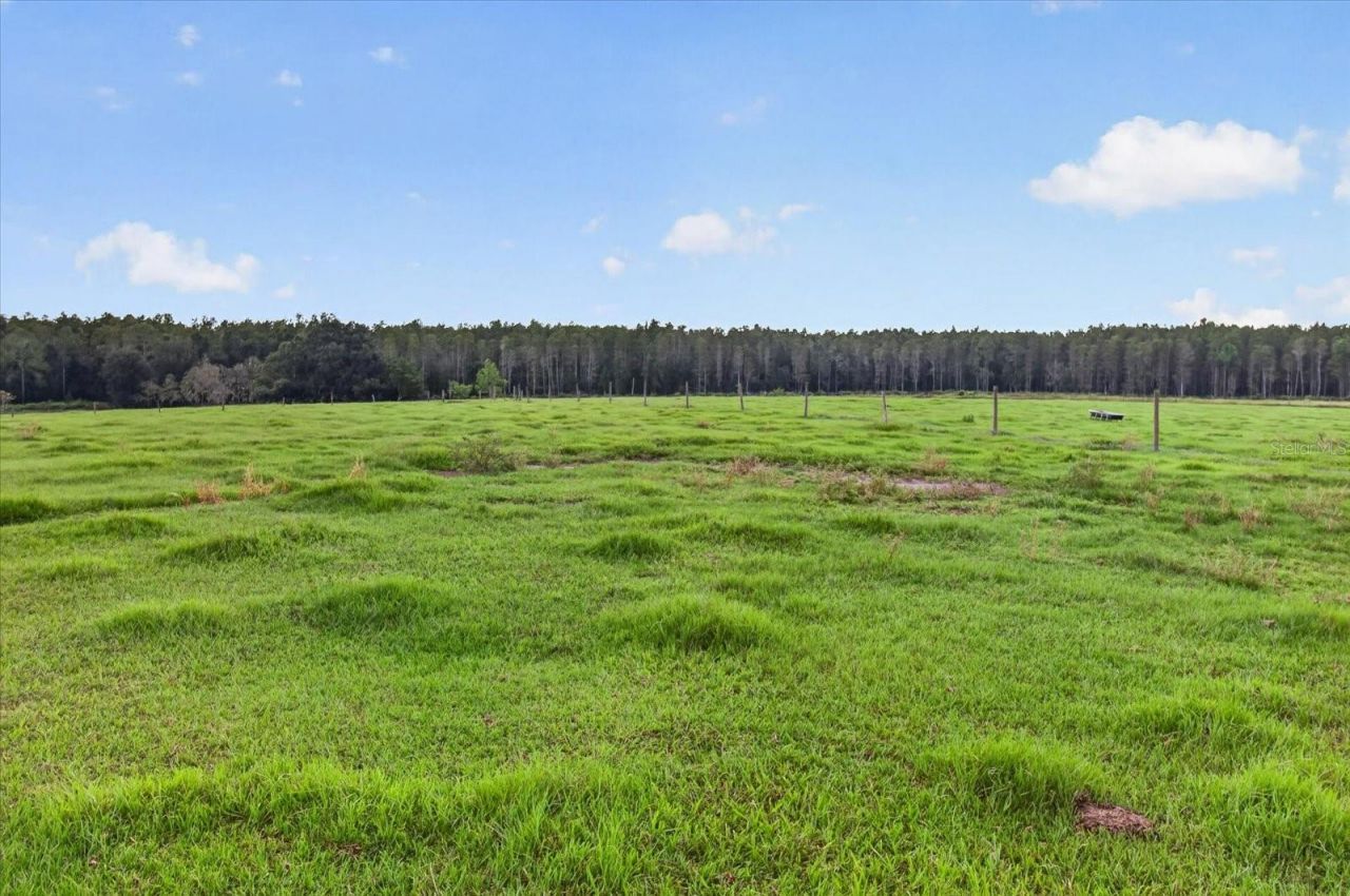 33610 Kiefer Road , Wesley Chapel, FL 33545 Photo