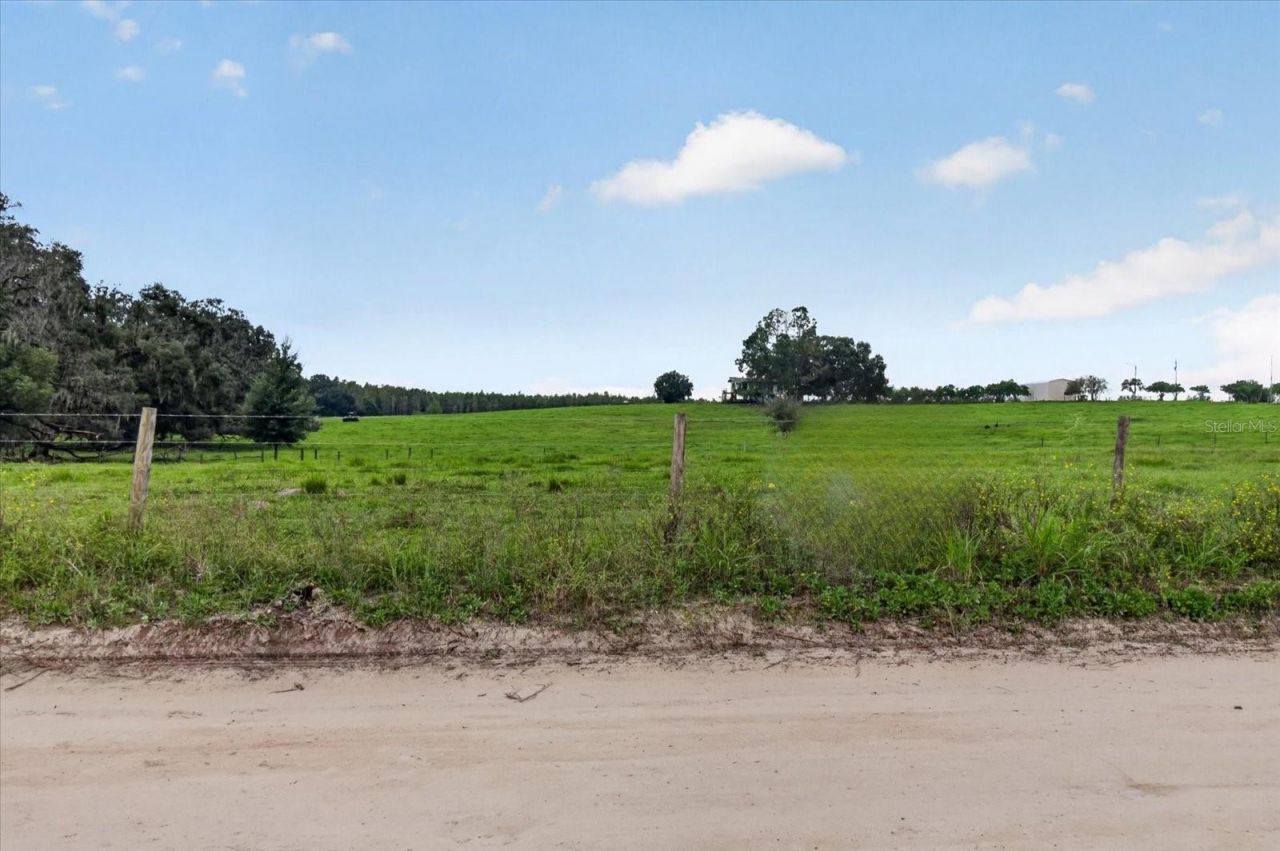 33610 Kiefer Road , Wesley Chapel, FL 33545 Photo