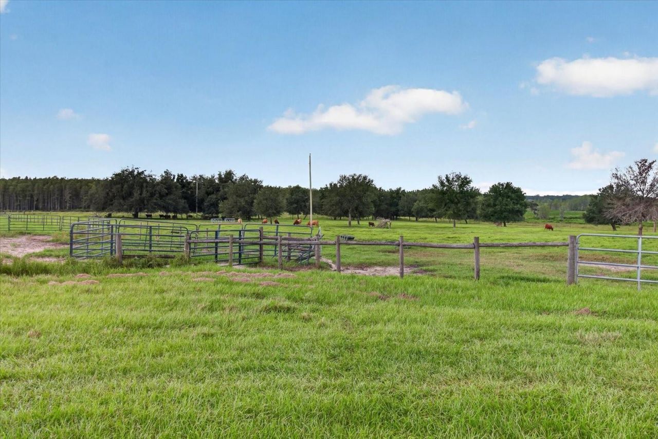 33610 Kiefer Road , Wesley Chapel, FL 33545 Photo