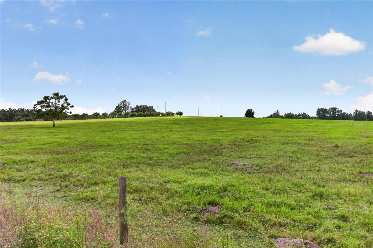 33610 Kiefer Road , Wesley Chapel, FL 33545 Photo