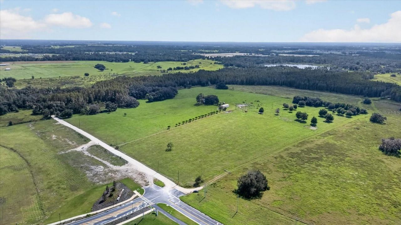33610 Kiefer Road , Wesley Chapel, FL 33545 Photo