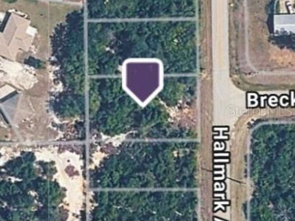 228 HALLMARK AVENUE , LAKE PLACID, FL 33852