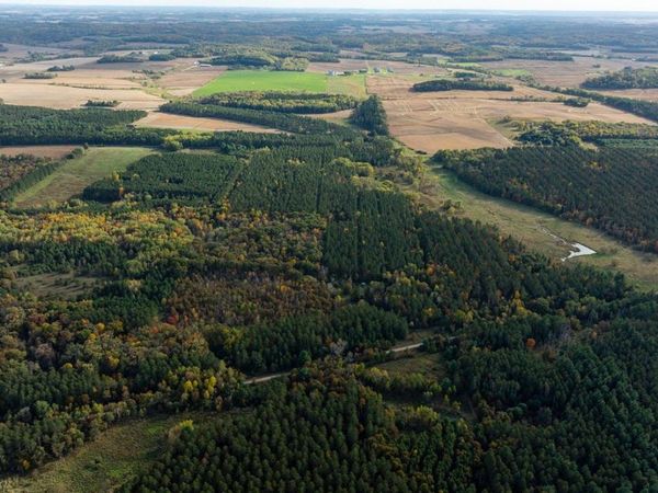 TBD E Prairie Road, Osseo, WI 54758