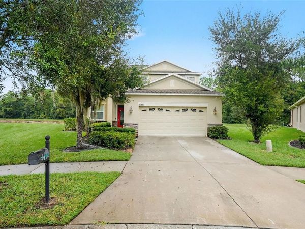 20443 AUTUMN FERN AVENUE , TAMPA, FL 33647