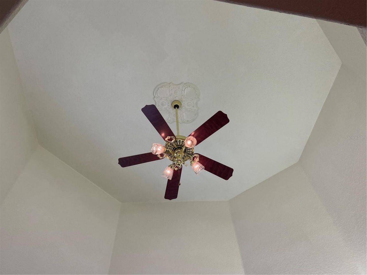 5422 Cyril Drive, Dade City, FL 33523 Photo