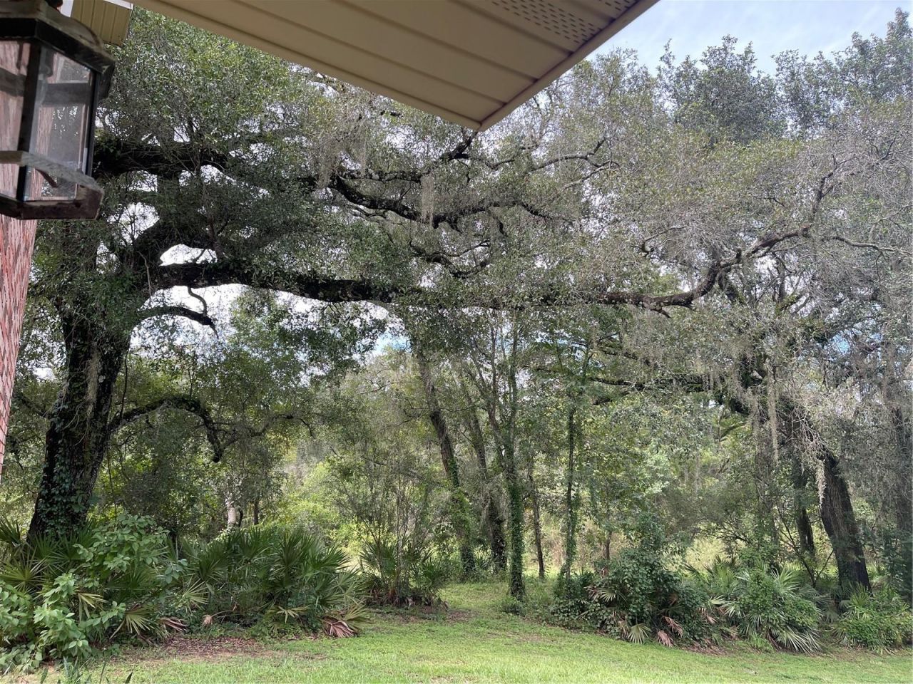 5422 Cyril Drive, Dade City, FL 33523 Photo