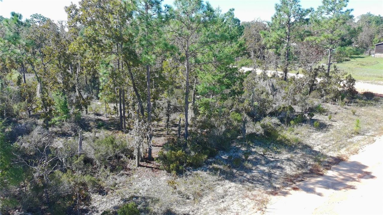 1403 Drew Lane , Interlachen, FL 32148 Photo