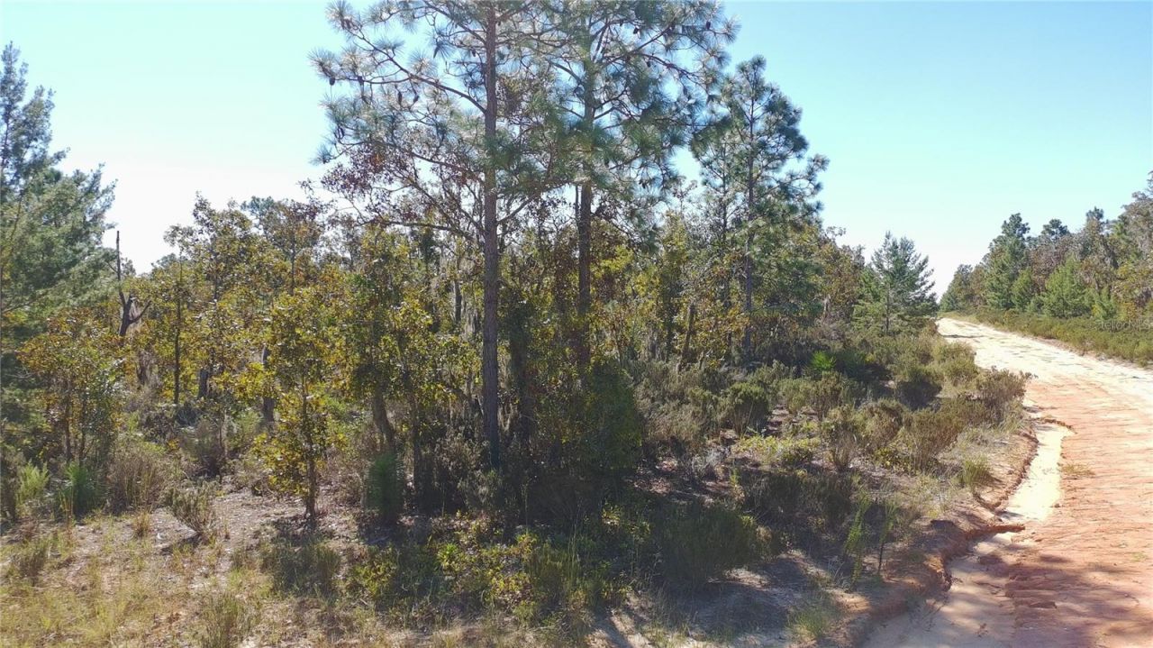 1403 Drew Lane , Interlachen, FL 32148 Photo