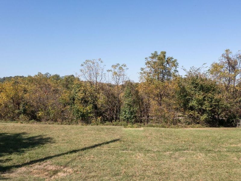 100 Summit Drive, Covington, KY 41015 Photo 6