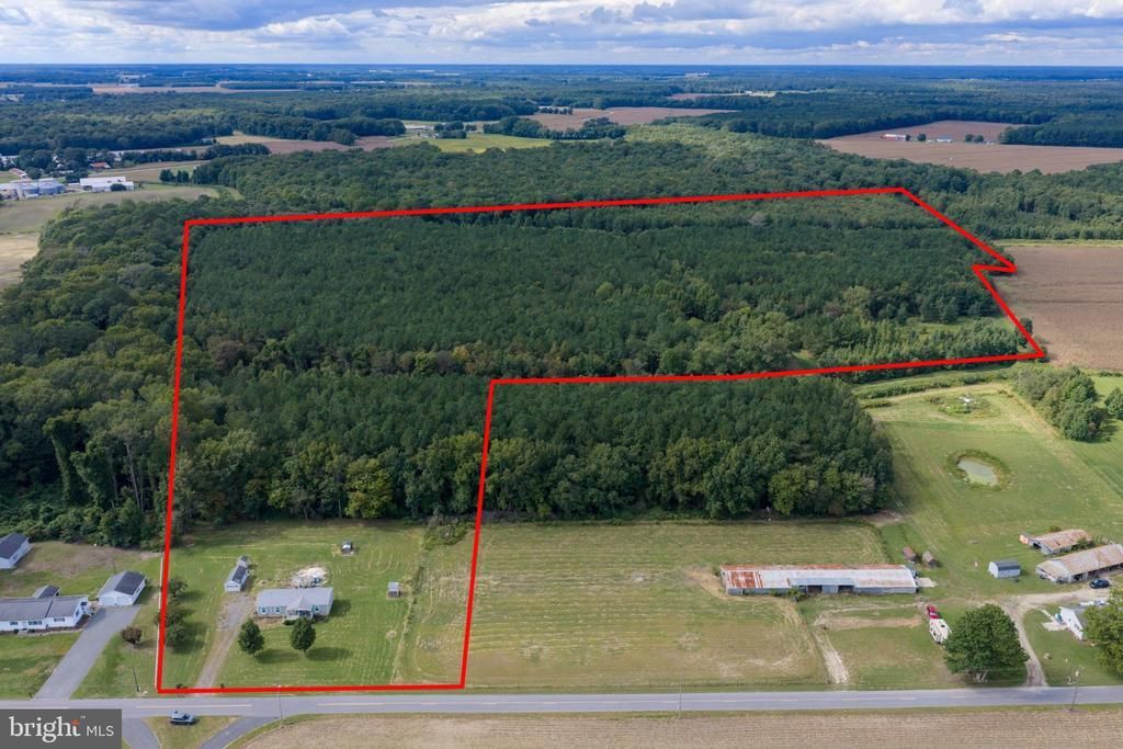 12201 BLUEBERRY ROAD , WHALEYVILLE, MD 21872