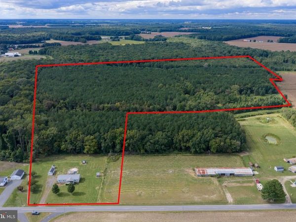 12201 BLUEBERRY ROAD, WHALEYVILLE, MD 21872