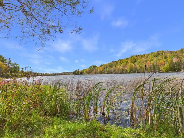 6355 Rushton Road, Ellsworth, MI 49729