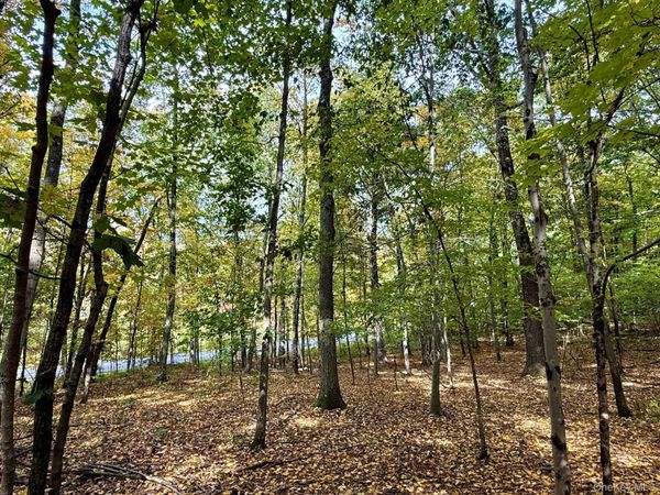 Fiddlers Bridge Rd. , Staatsburg, NY 12580