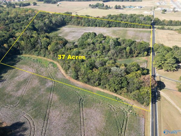 37 acres Ed Ray Road, Athens, AL 35613