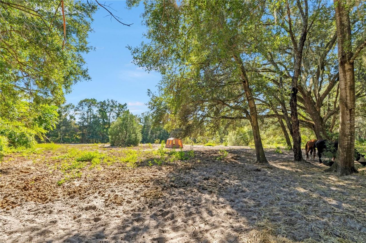 37820 Ridgecrest Lane, Lady Lake, FL 32159 Photo