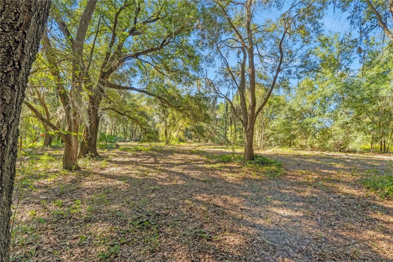 37820 Ridgecrest Lane, Lady Lake, FL 32159 Photo