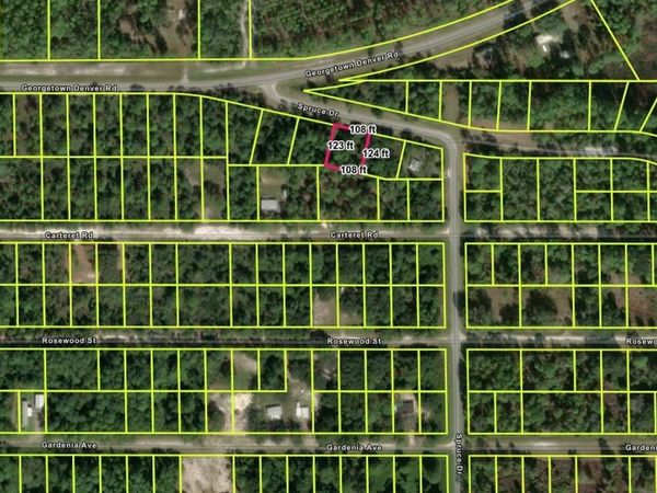 109 S GEORGETOWN POINT ROAD , GEORGETOWN, FL 32139