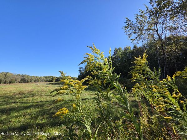 Tbd Anderson Road, Parksville, NY 12768