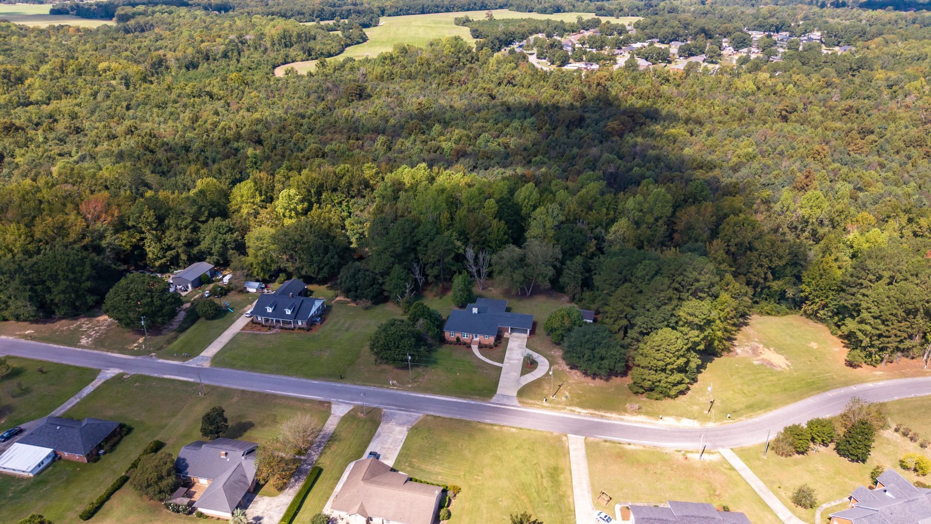 1435 Peggy Lane Photo 21