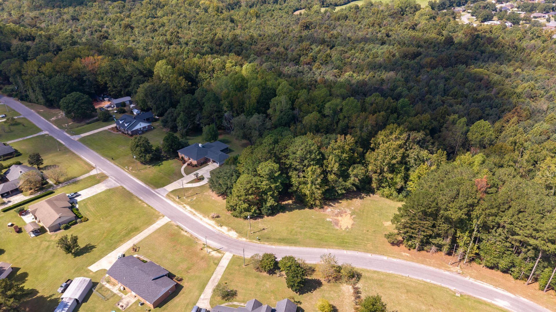 1435 Peggy Lane Photo 23