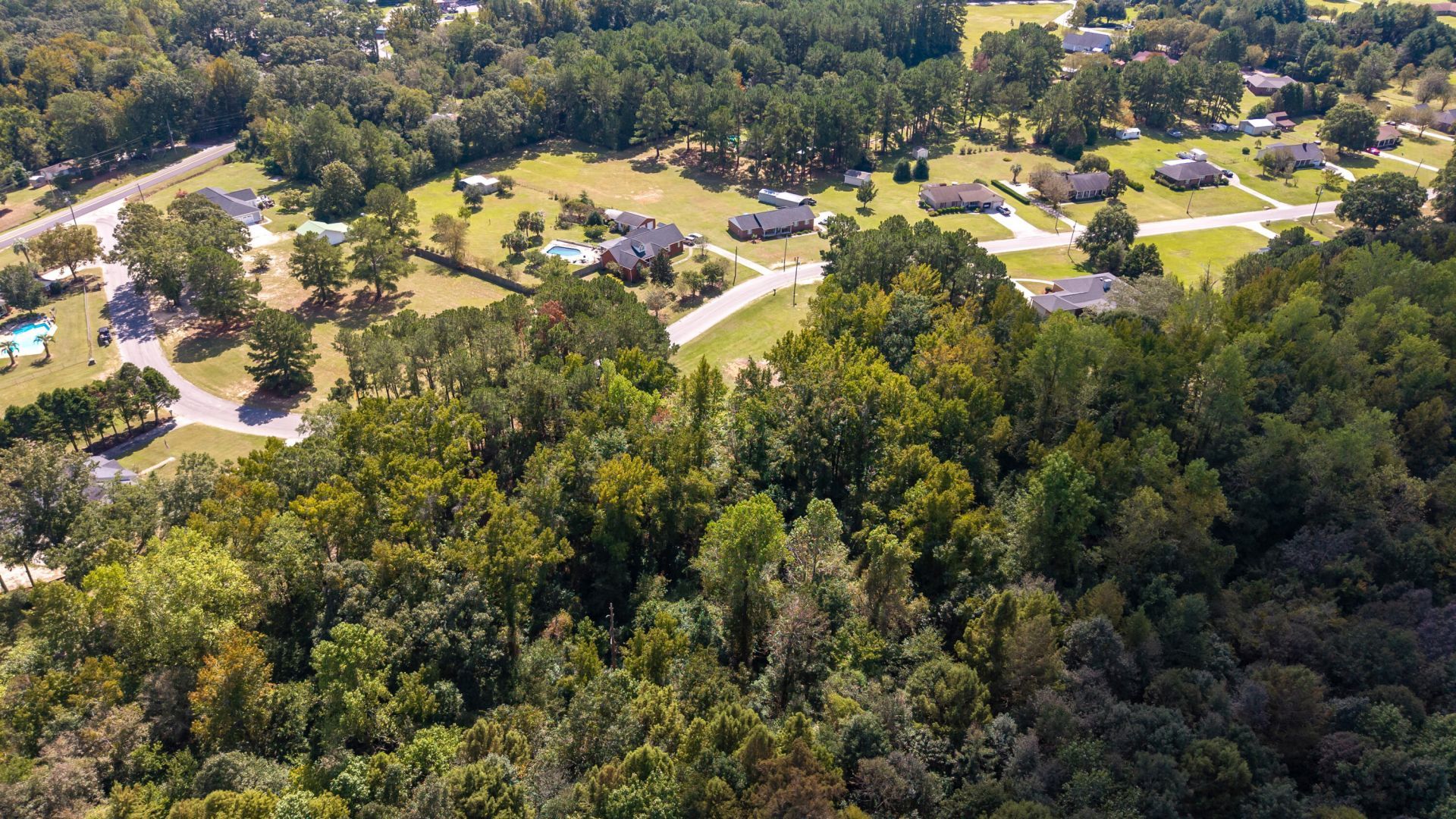 1435 Peggy Lane Photo 25