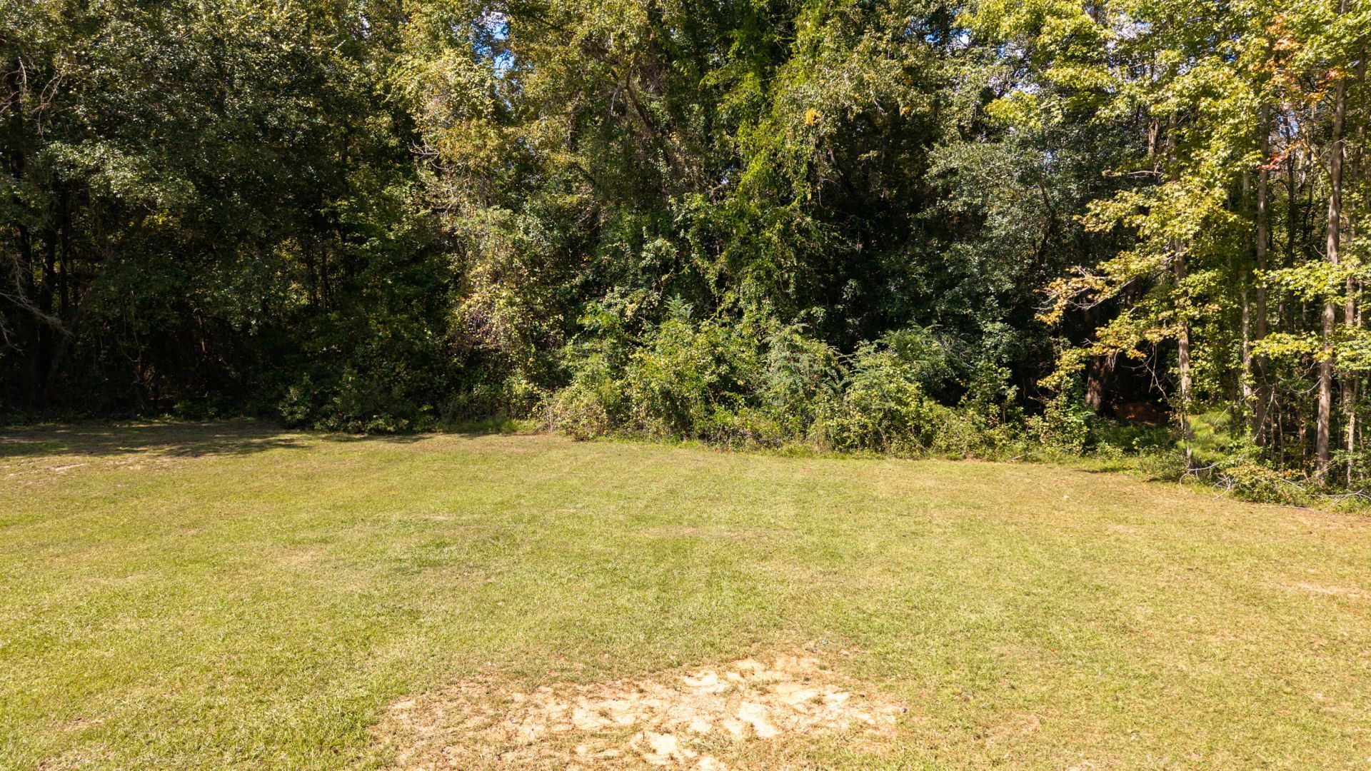 1435 Peggy Lane Photo 31