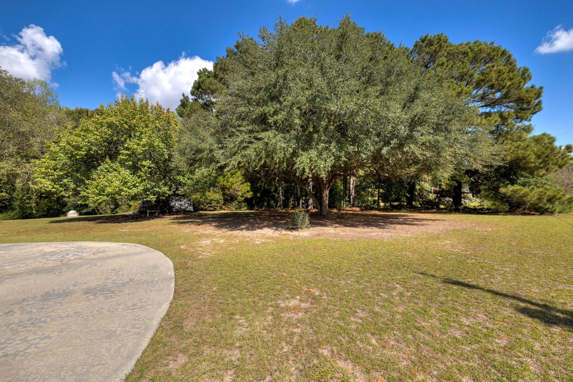 1435 Peggy Lane Photo 5