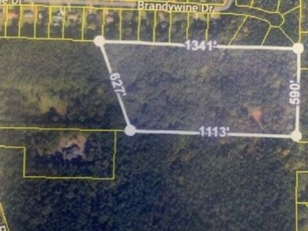 294 Oakridge Drive, Forsyth, GA 31029