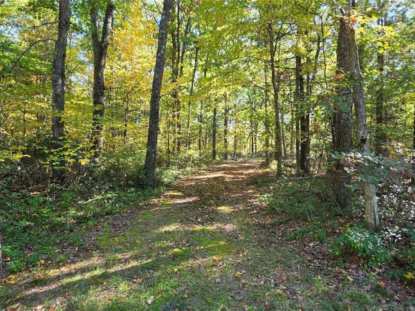 Lot #86 Perry Pond Road , Narrowsburg, NY 12764