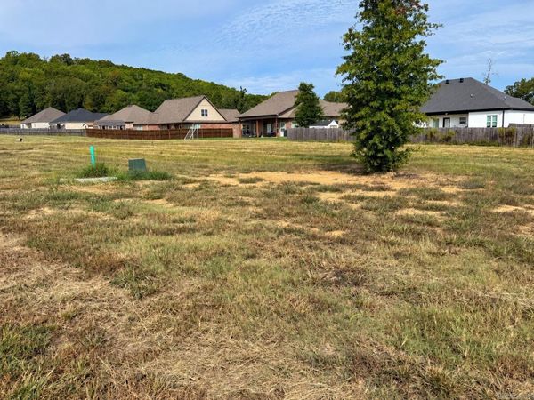 54 Wedgewood Drive , Greenbrier, AR 72058