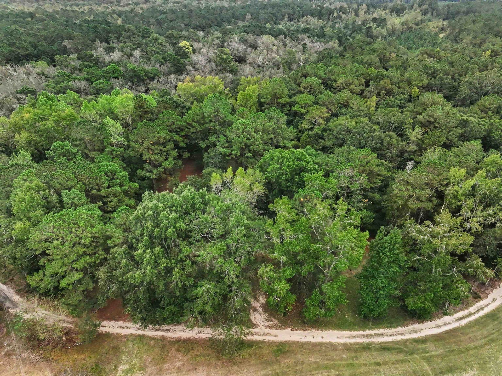 1068 Old River Rd.  Photo 15